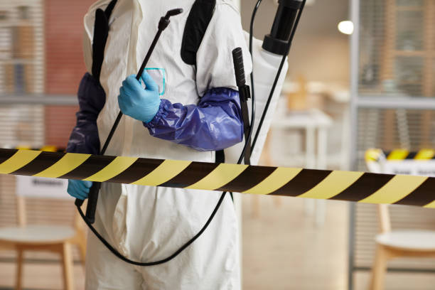 Professional Sewage Cleanup technician working in Lindenhurst, IL